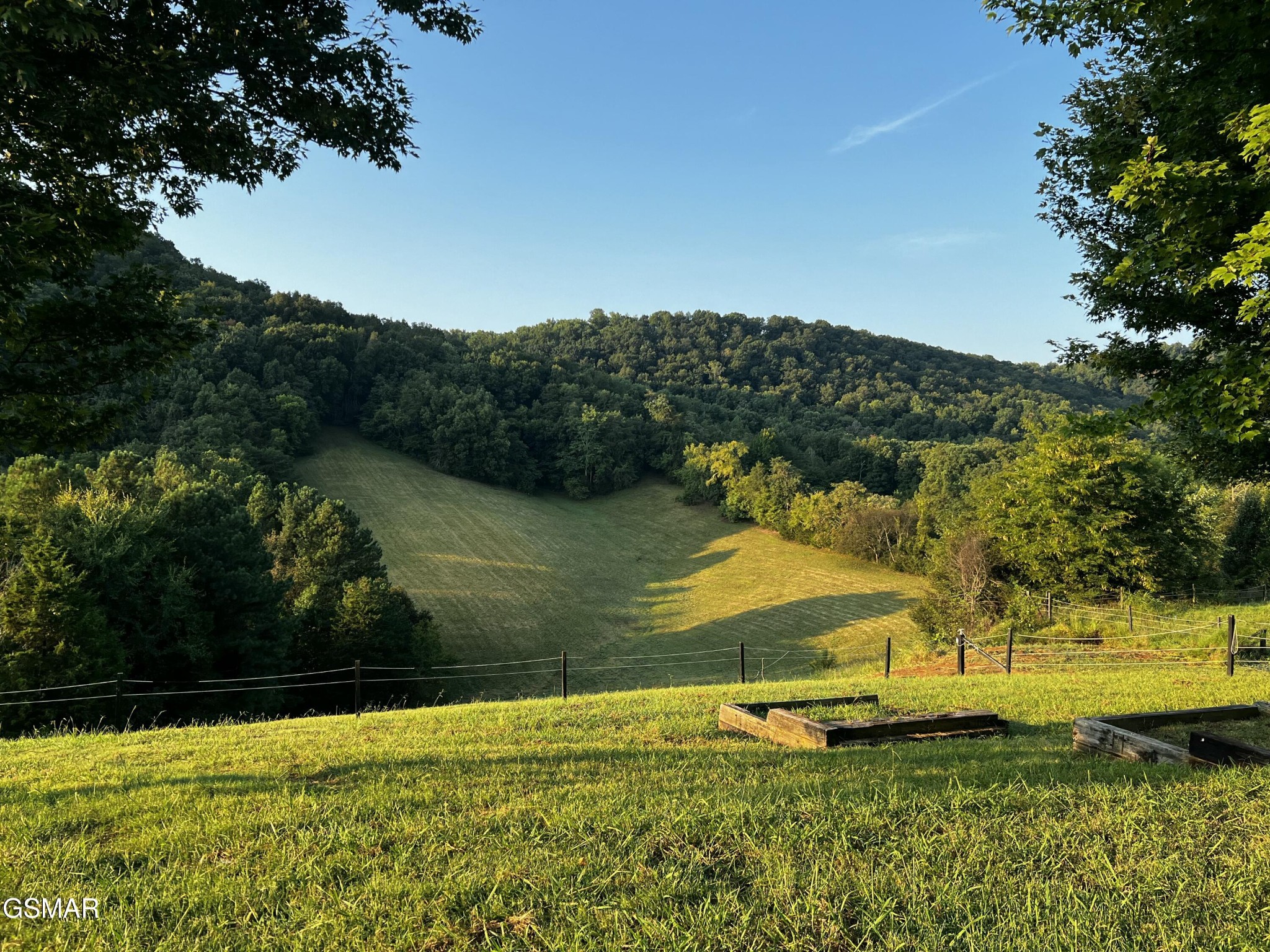 374 Doane Road New Market, TN 37820 - Photo 15 of 83 Gallery Image 15