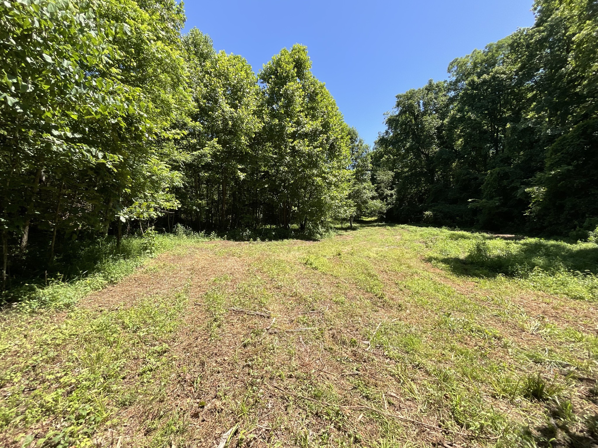 1 Herman Adams Road Erin, TN 37061 - Photo 1 of 49 Gallery Image 1