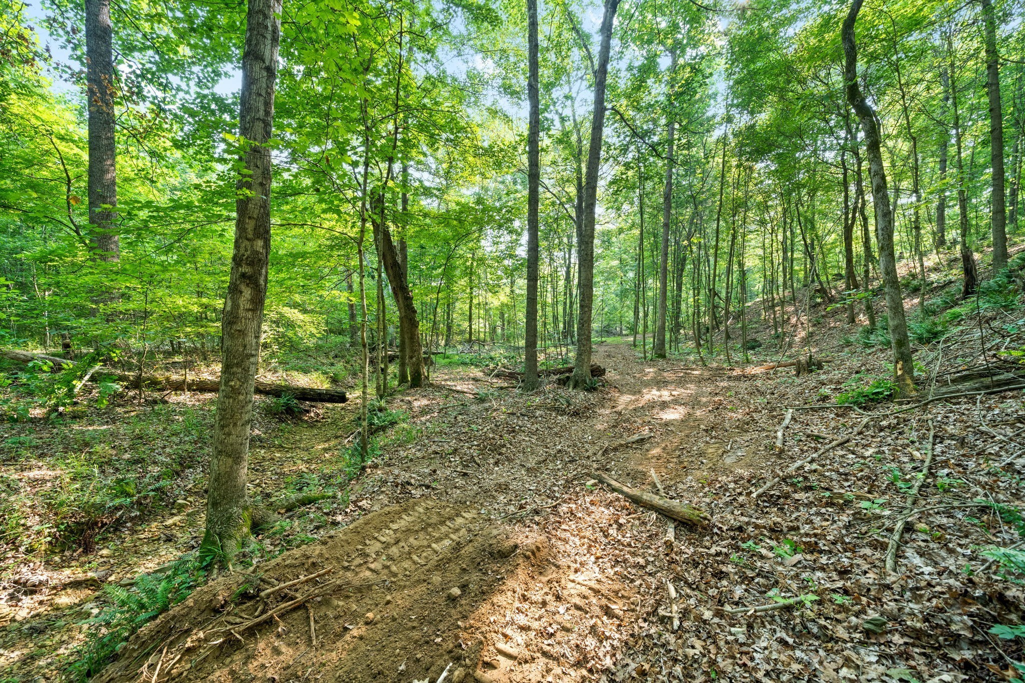 1 Herman Adams Road Erin, TN 37061 - Photo 13 of 49 Gallery Image 13