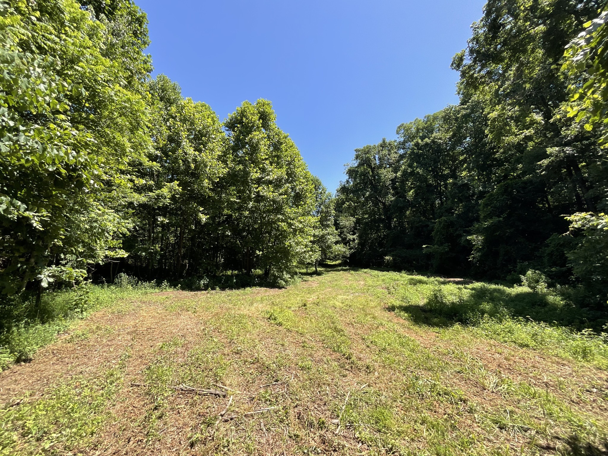 1 Herman Adams Road Erin, TN 37061 - Photo 15 of 49 Gallery Image 15