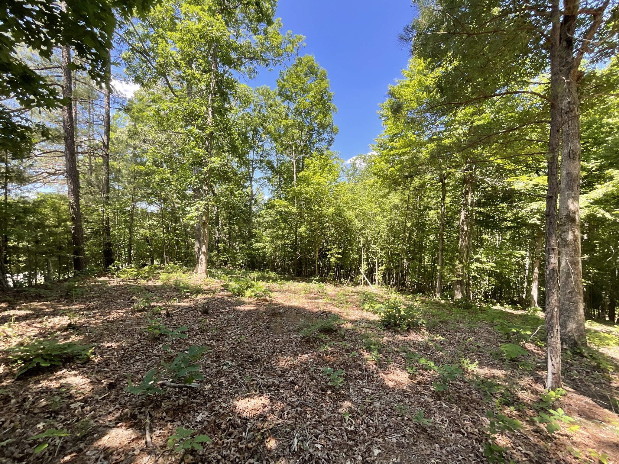 1 Herman Adams Road Erin, TN 37061 - Photo 20 of 49 Gallery Image 20
