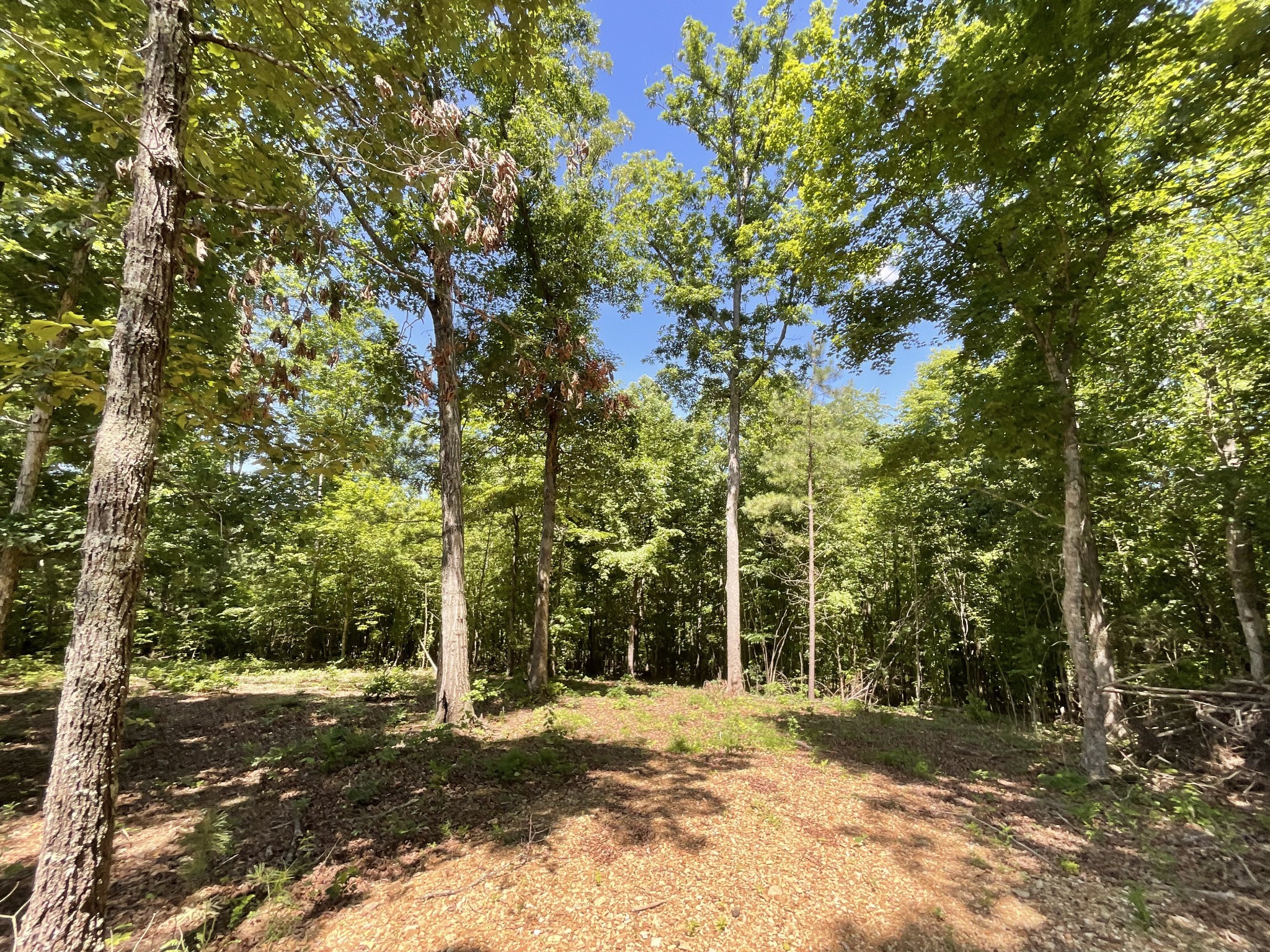 1 Herman Adams Road Erin, TN 37061 - Photo 2 of 49 Gallery Image 2