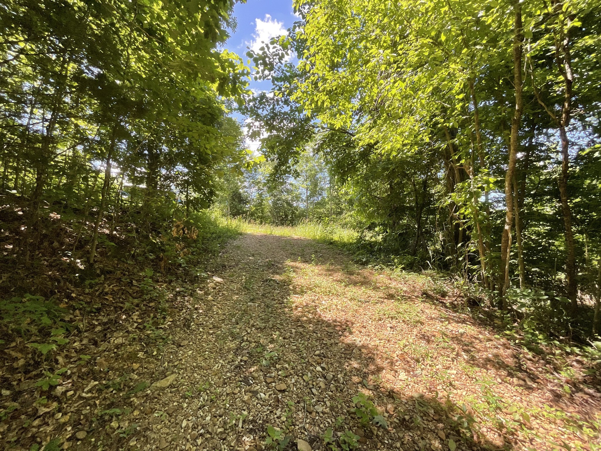 1 Herman Adams Road Erin, TN 37061 - Photo 21 of 49 Gallery Image 21