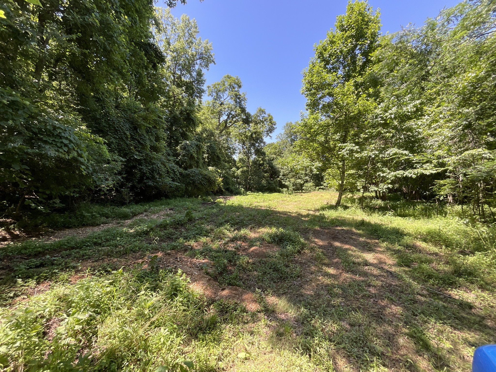 1 Herman Adams Road Erin, TN 37061 - Photo 22 of 49 Gallery Image 22