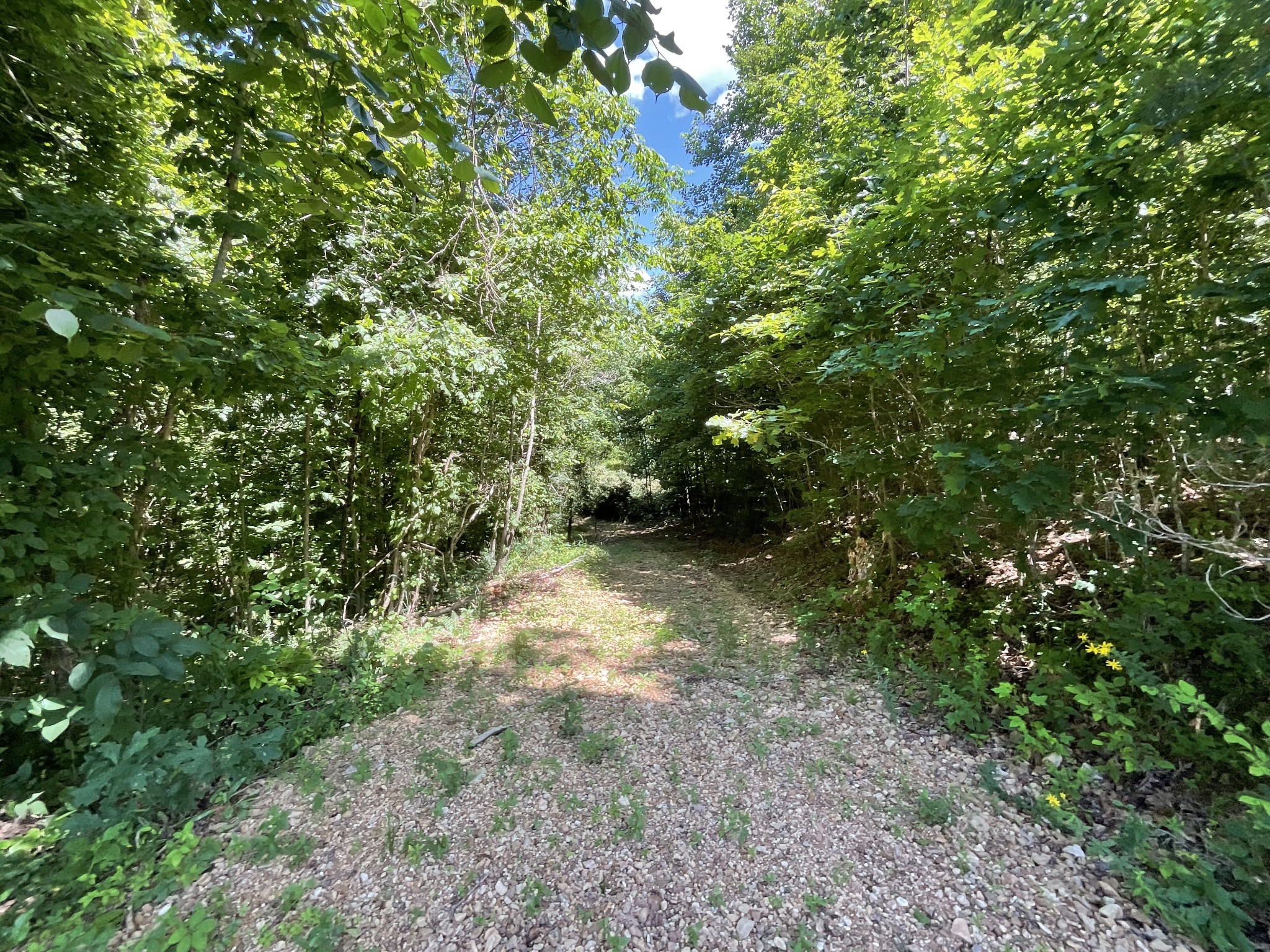 1 Herman Adams Road Erin, TN 37061 - Photo 24 of 49 Gallery Image 24