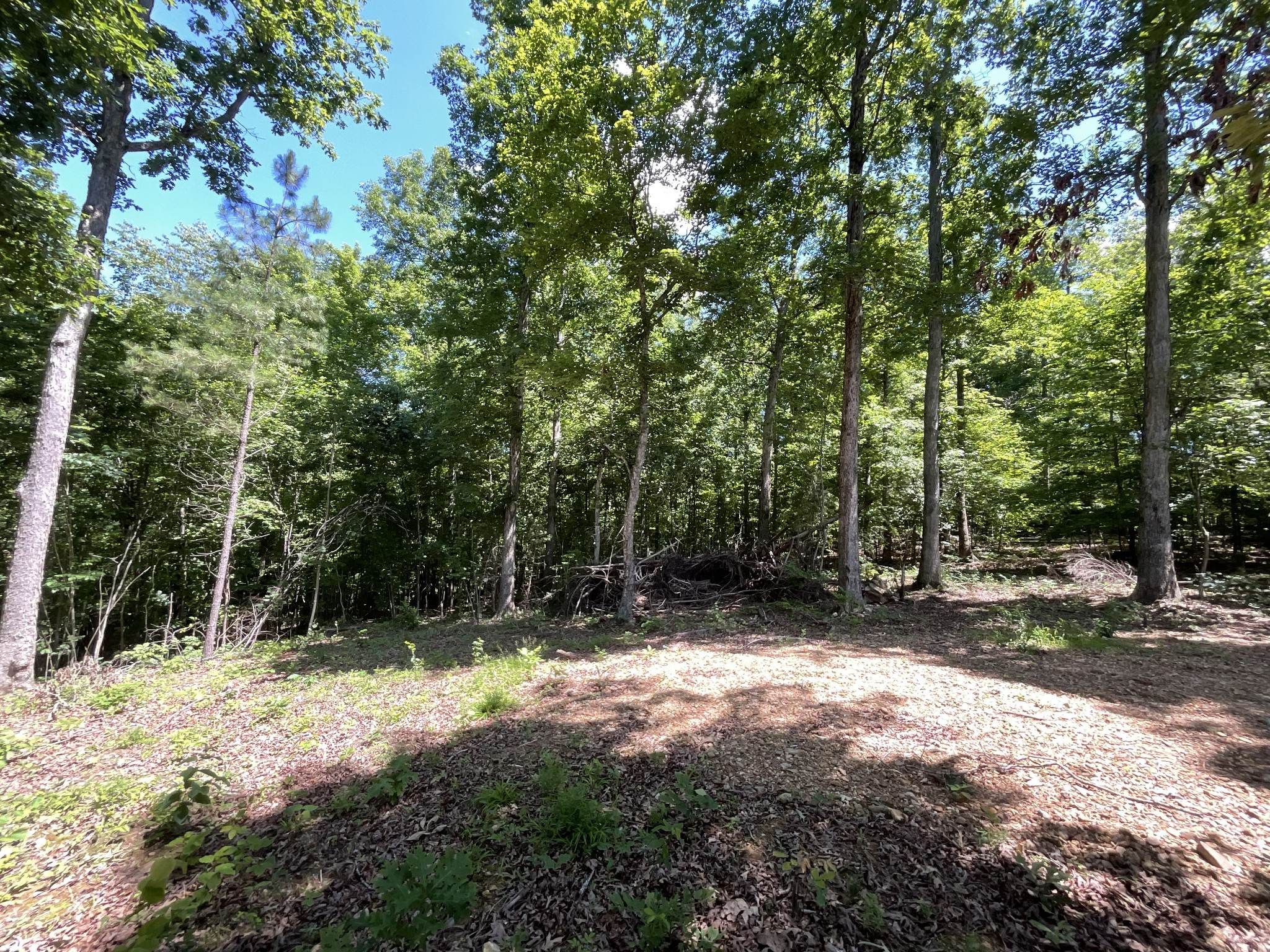 1 Herman Adams Road Erin, TN 37061 - Photo 26 of 49 Gallery Image 26