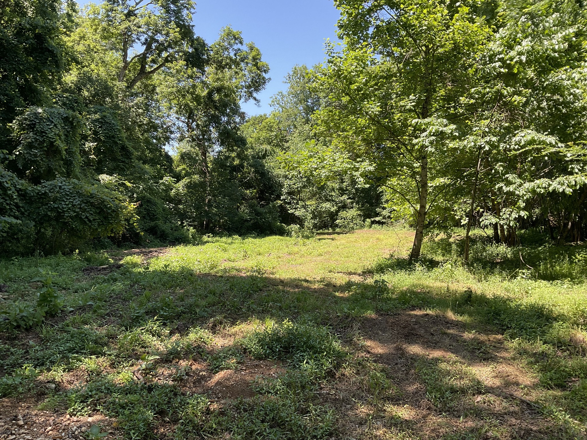 1 Herman Adams Road Erin, TN 37061 - Photo 29 of 49 Gallery Image 29