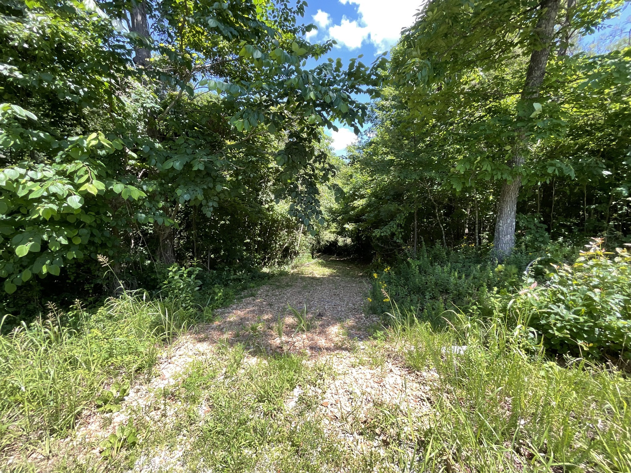 1 Herman Adams Road Erin, TN 37061 - Photo 30 of 49 Gallery Image 30