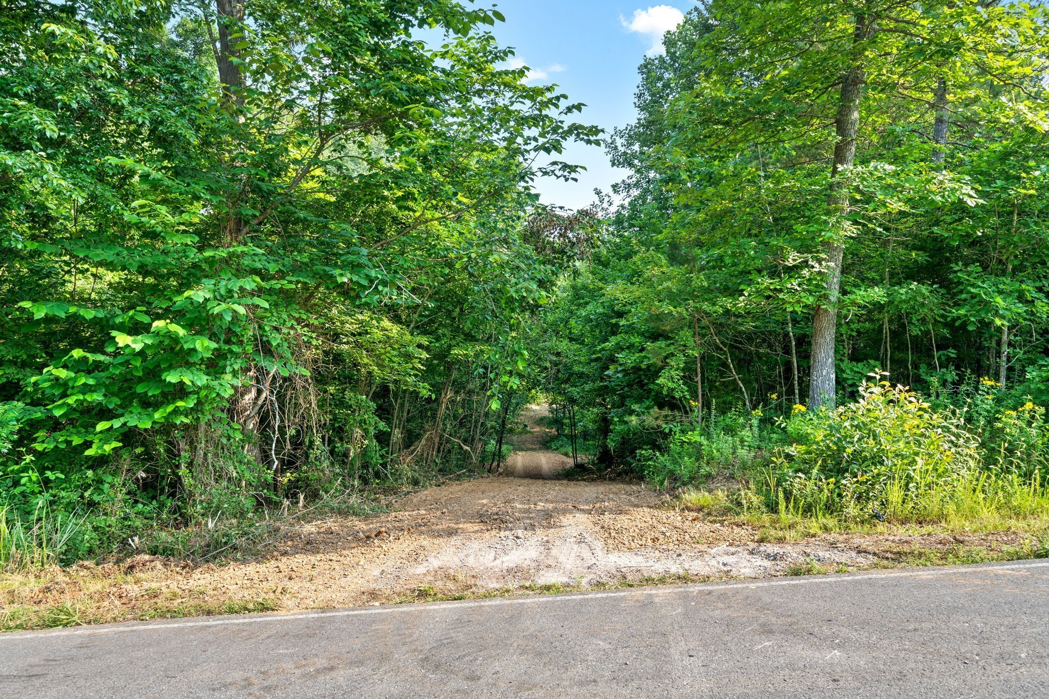 1 Herman Adams Road Erin, TN 37061 - Photo 3 of 49 Gallery Image 3