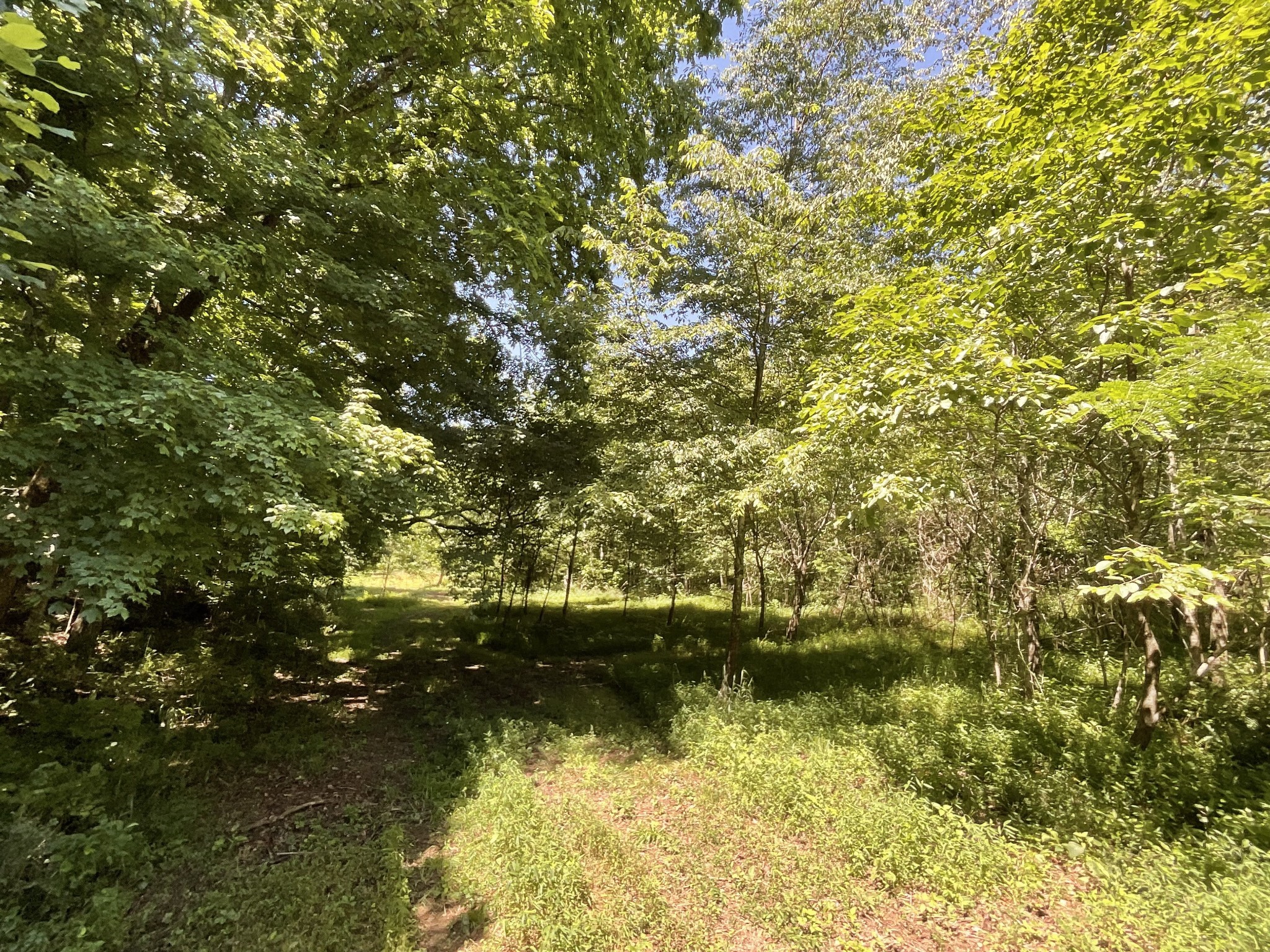 1 Herman Adams Road Erin, TN 37061 - Photo 34 of 49 Gallery Image 34