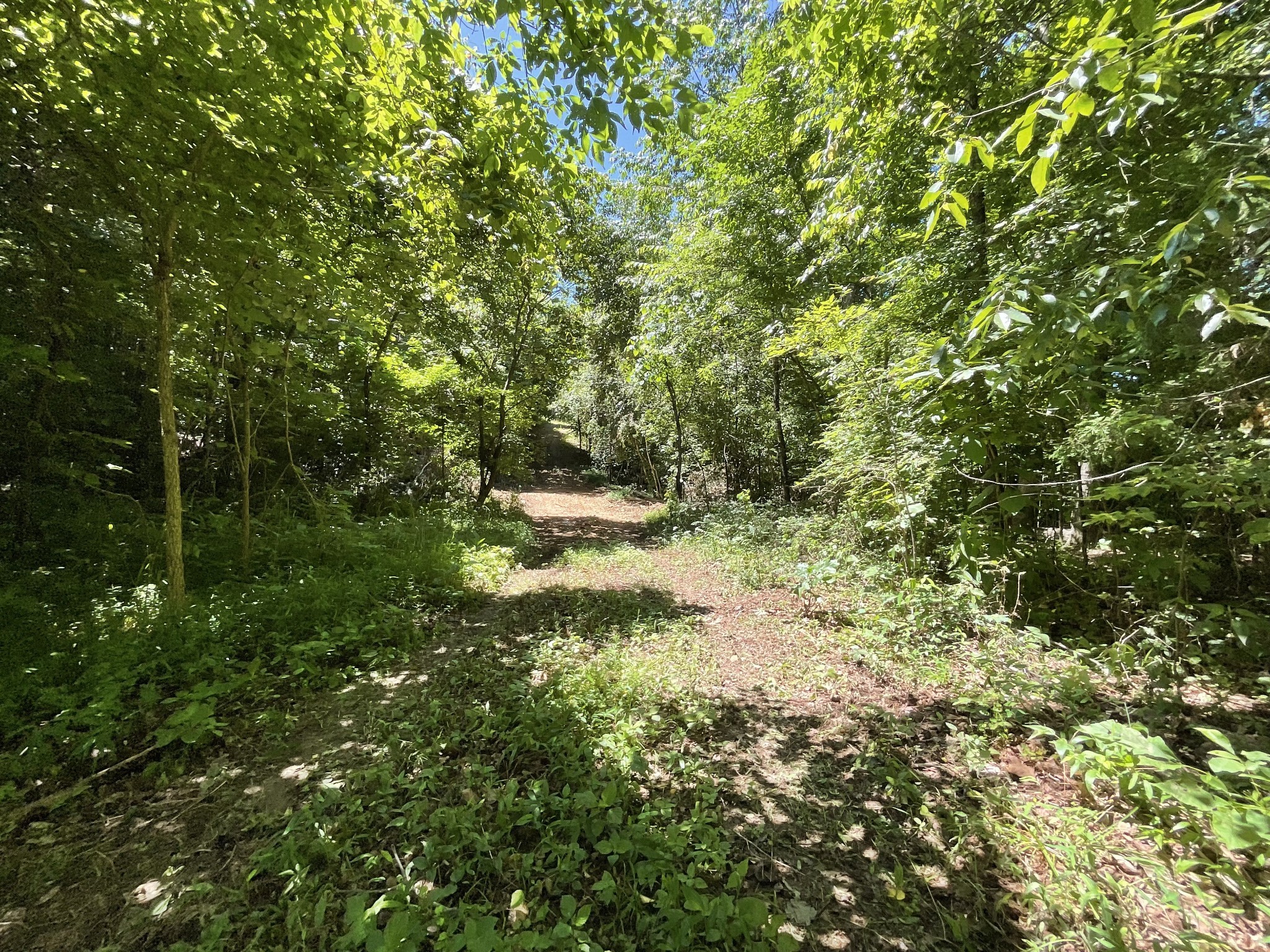 1 Herman Adams Road Erin, TN 37061 - Photo 39 of 49 Gallery Image 39