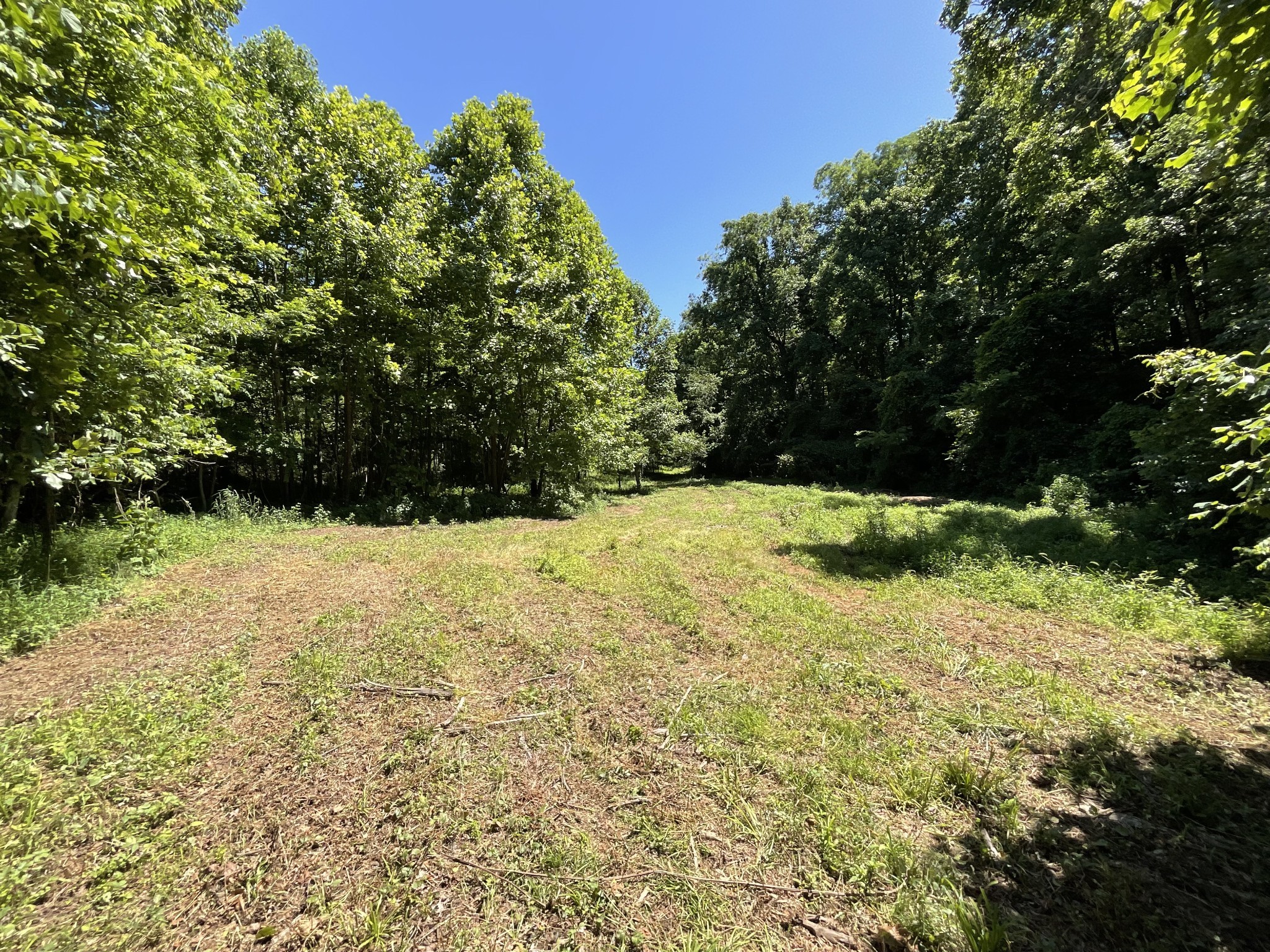 1 Herman Adams Road Erin, TN 37061 - Photo 4 of 49 Gallery Image 4