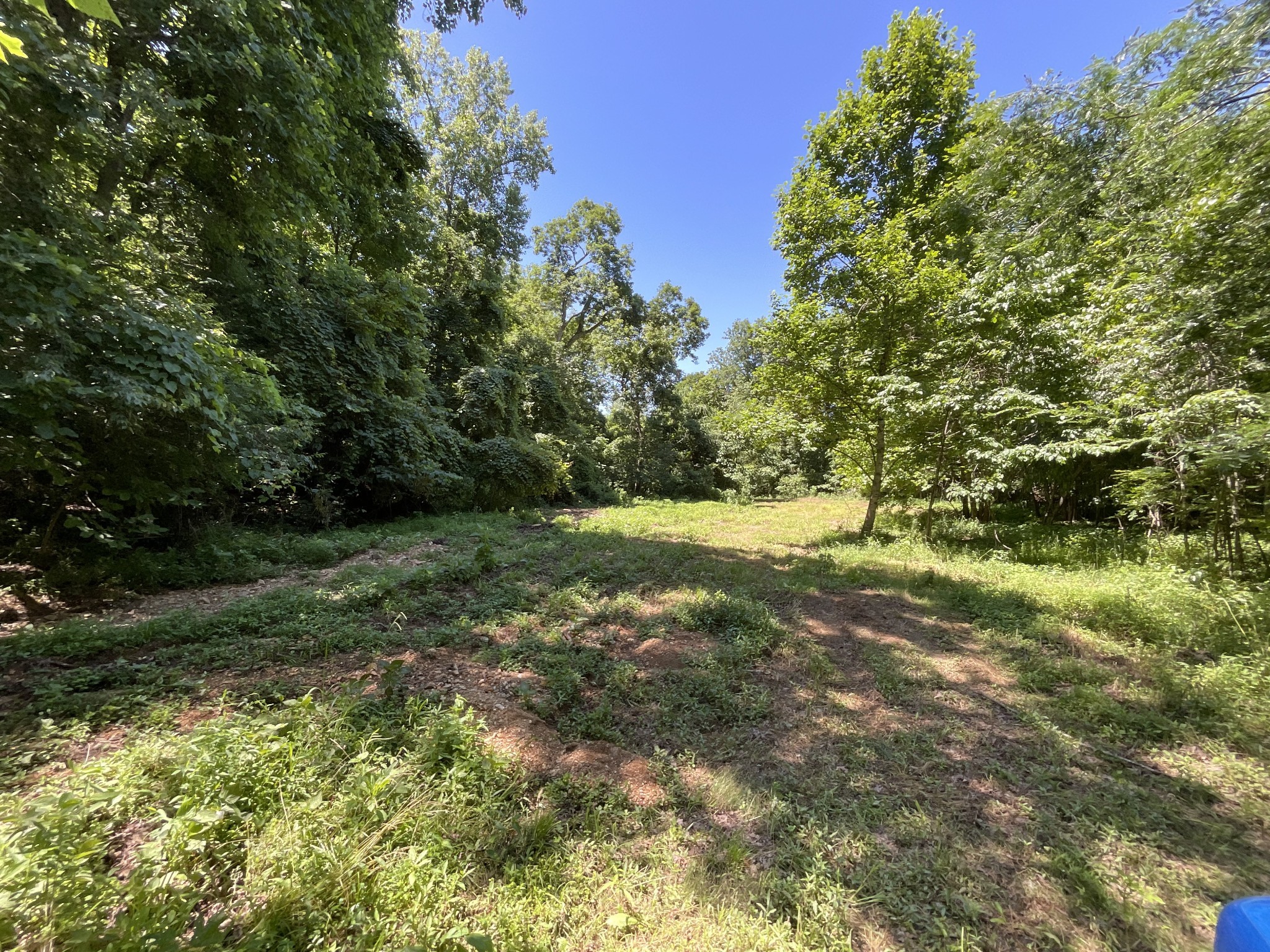 1 Herman Adams Road Erin, TN 37061 - Photo 41 of 49 Gallery Image 41