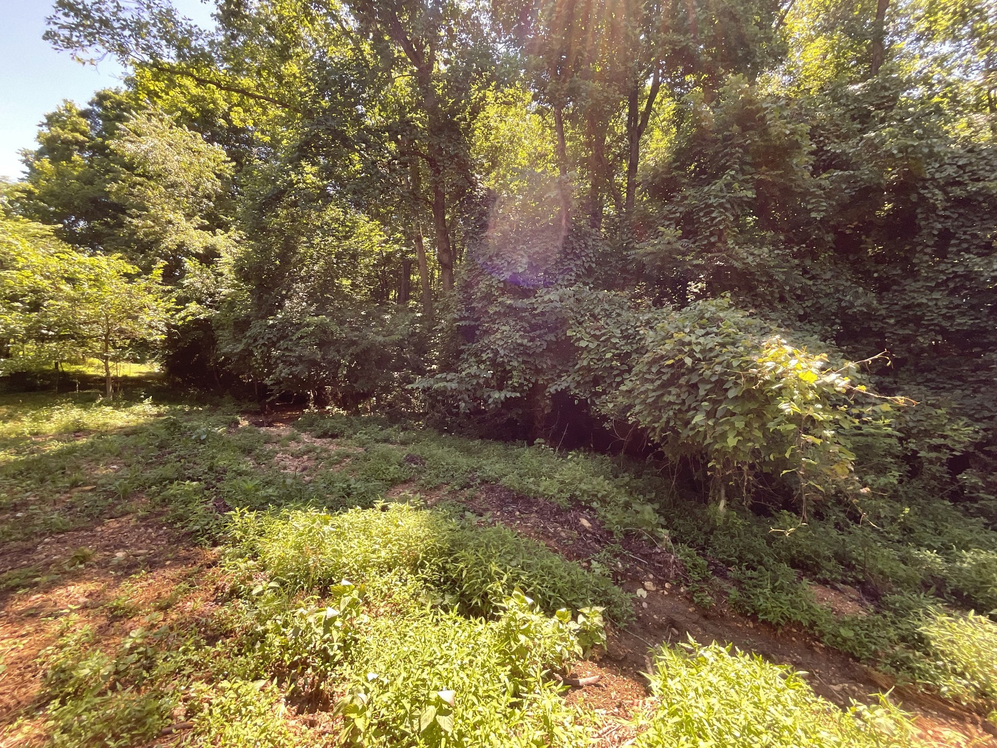 1 Herman Adams Road Erin, TN 37061 - Photo 42 of 49 Gallery Image 42