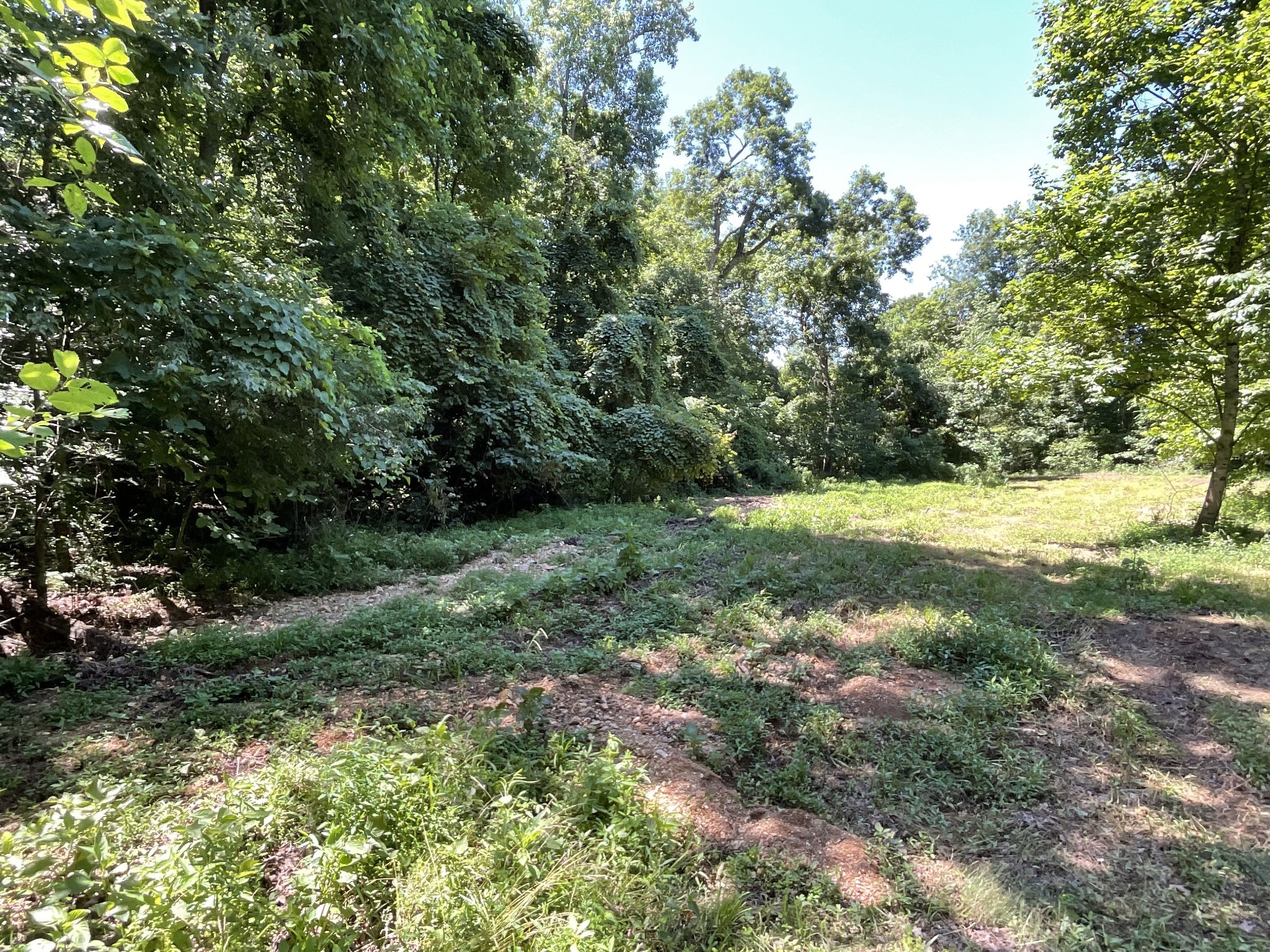 1 Herman Adams Road Erin, TN 37061 - Photo 43 of 49 Gallery Image 43