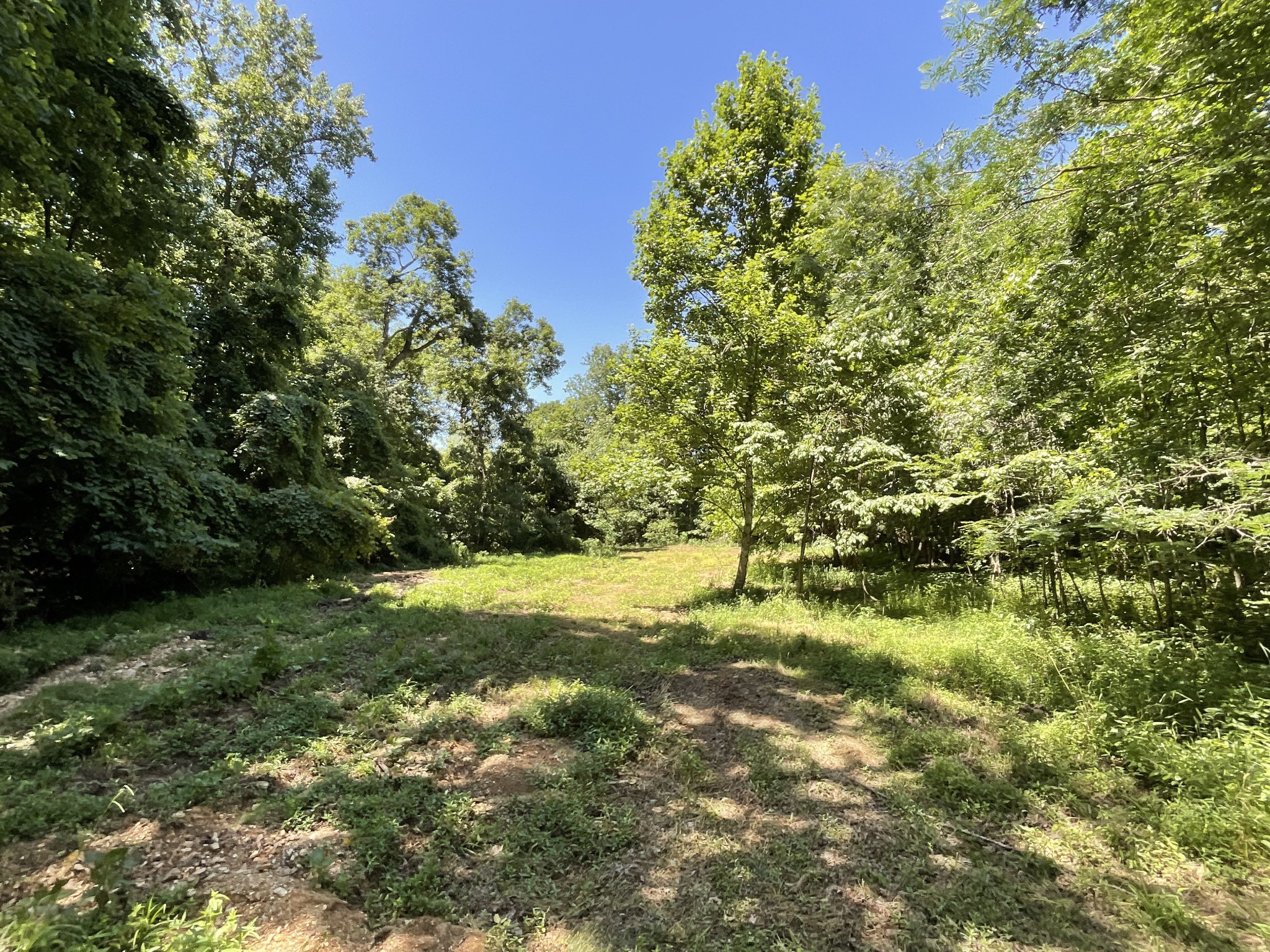 1 Herman Adams Road Erin, TN 37061 - Photo 45 of 49 Gallery Image 45