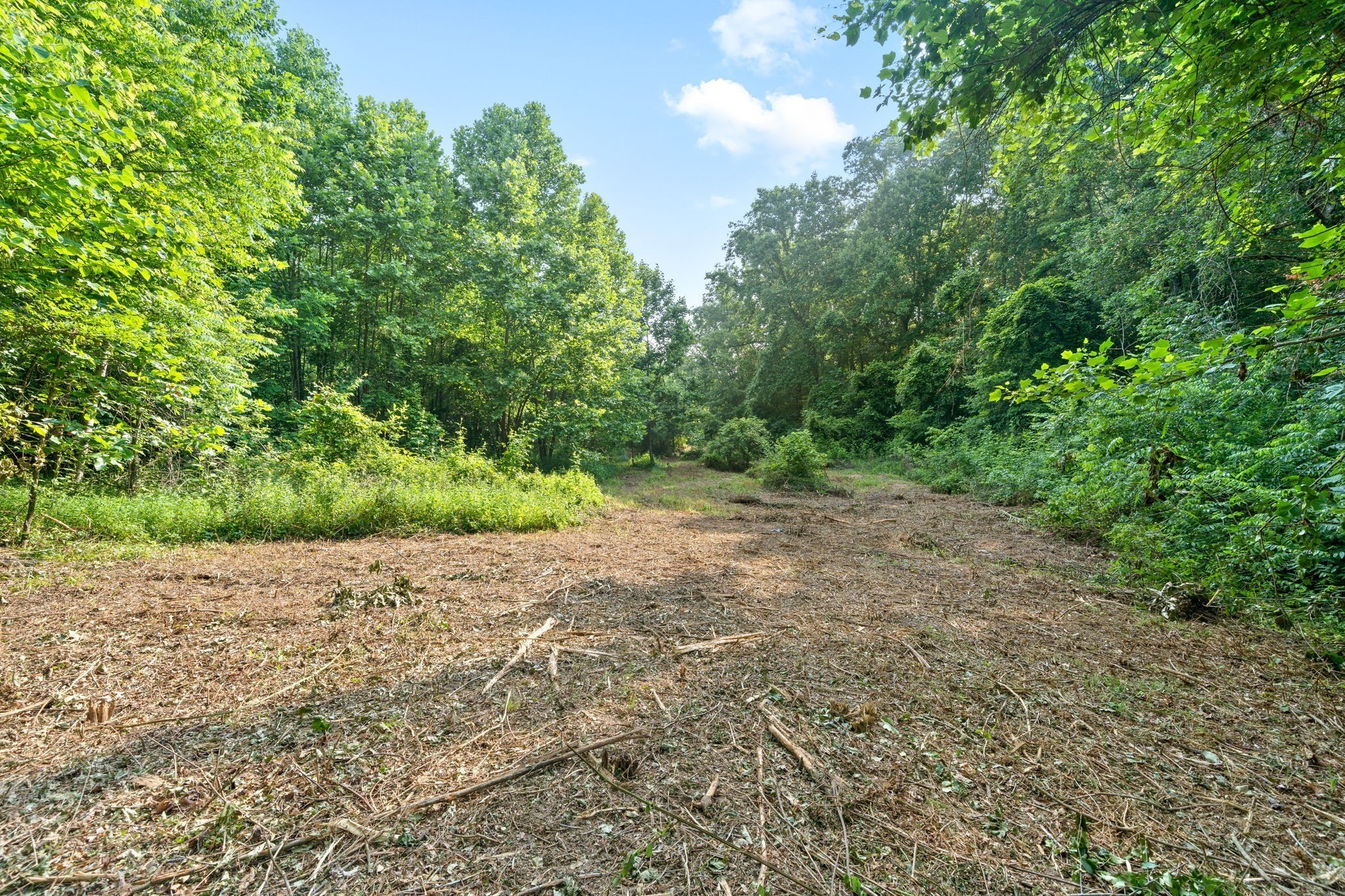 1 Herman Adams Road Erin, TN 37061 - Photo 5 of 49 Gallery Image 5