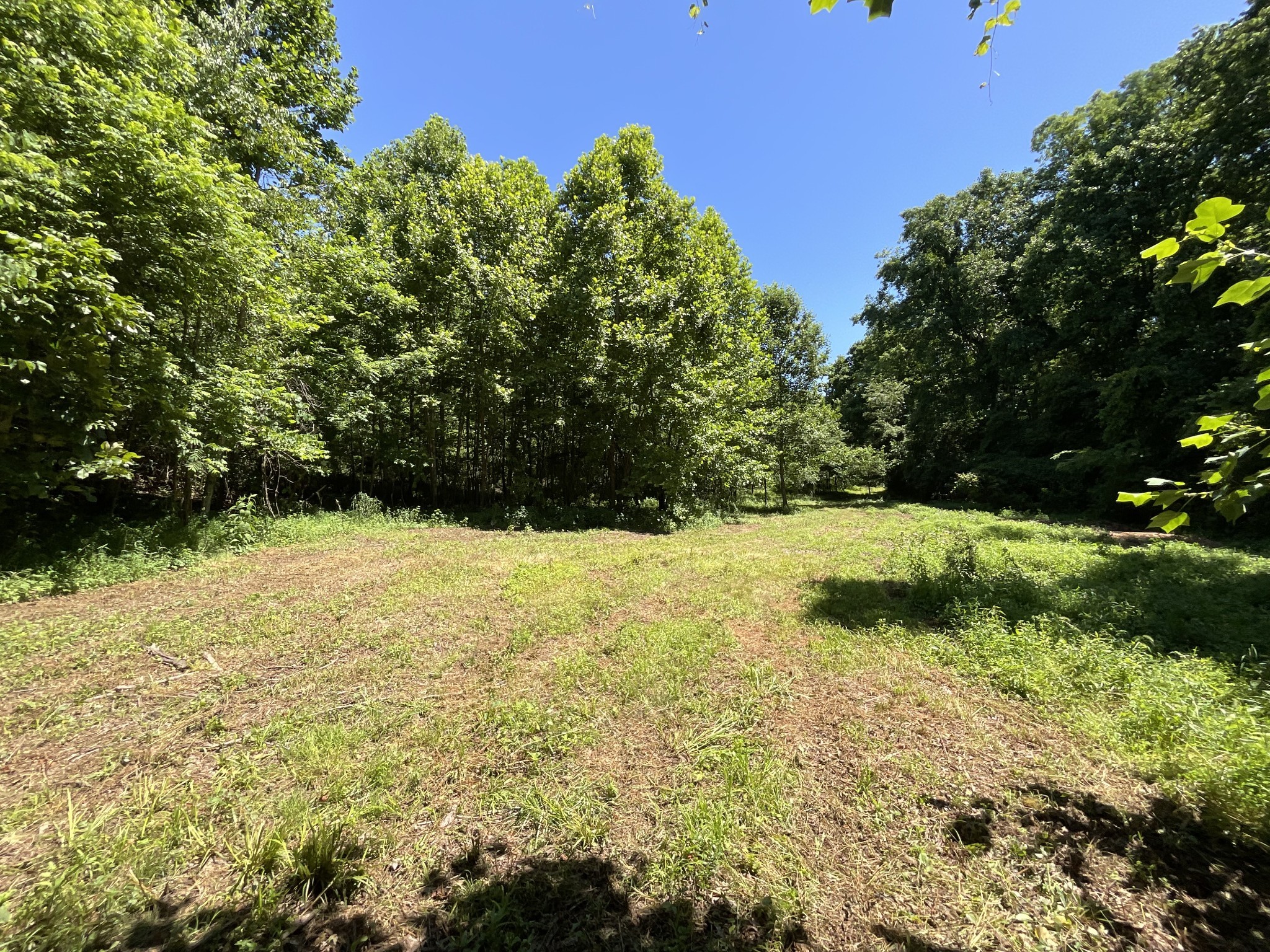 1 Herman Adams Road Erin, TN 37061 - Photo 6 of 49 Gallery Image 6
