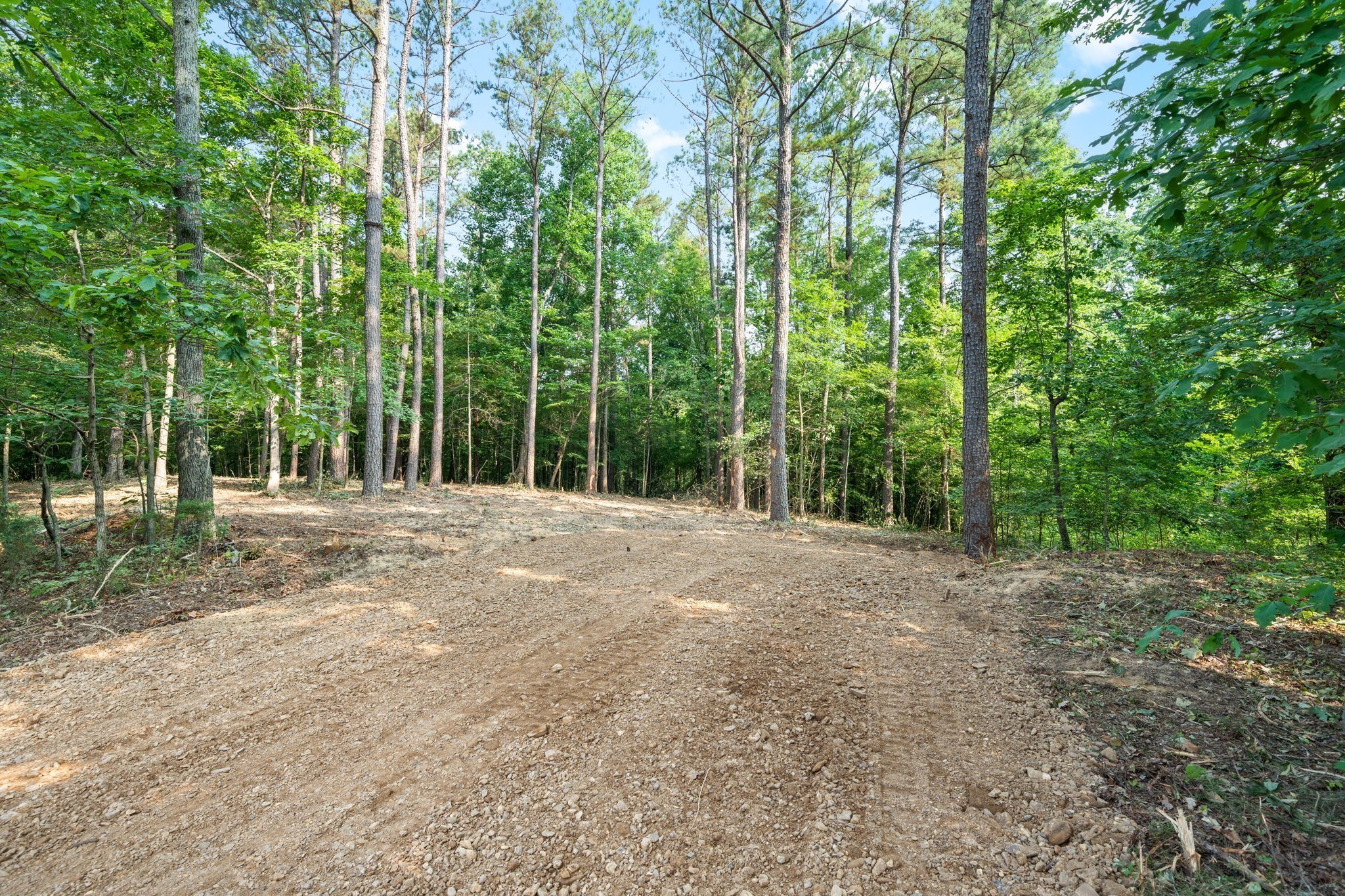 1 Herman Adams Road Erin, TN 37061 - Photo 7 of 49 Gallery Image 7