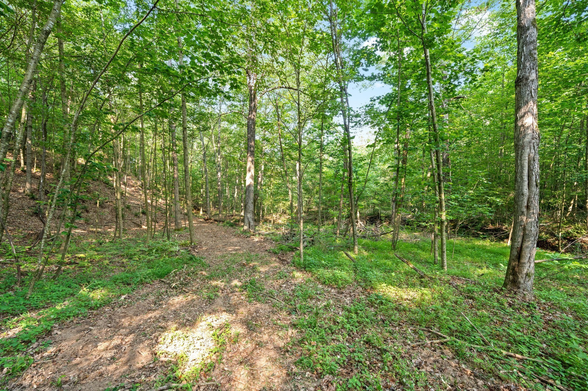 1 Herman Adams Road Erin, TN 37061 - Photo 8 of 49 Gallery Image 8