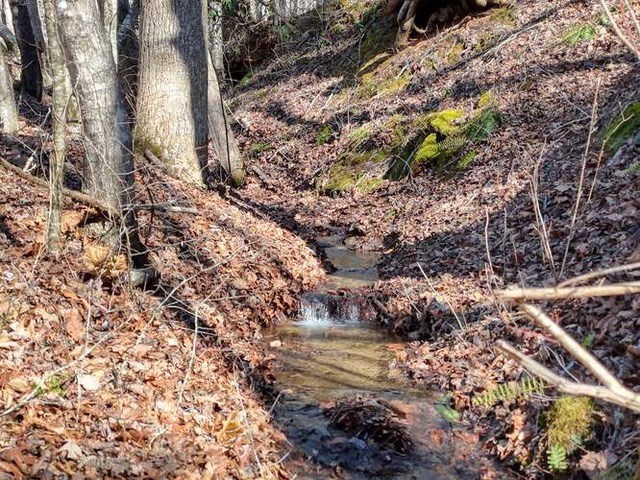 2912 Gribble Edwards Road Hayesville, NC 28904 - Photo 40 of 46 Gentle babbling creek on property