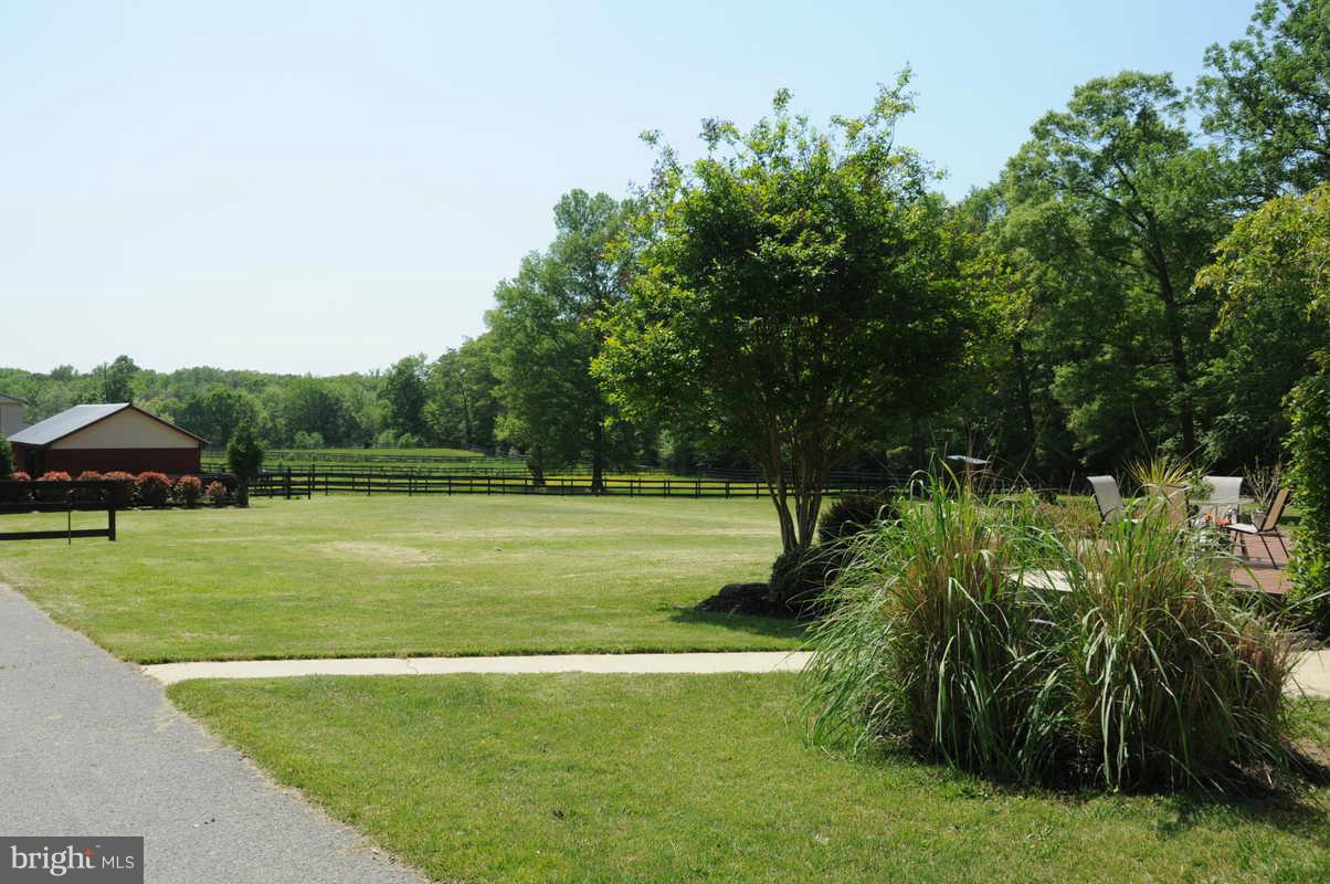 16311 Accolawn Road Accokeek, MD 20607 - Photo 13 of 17 a view of a grassy field with trees