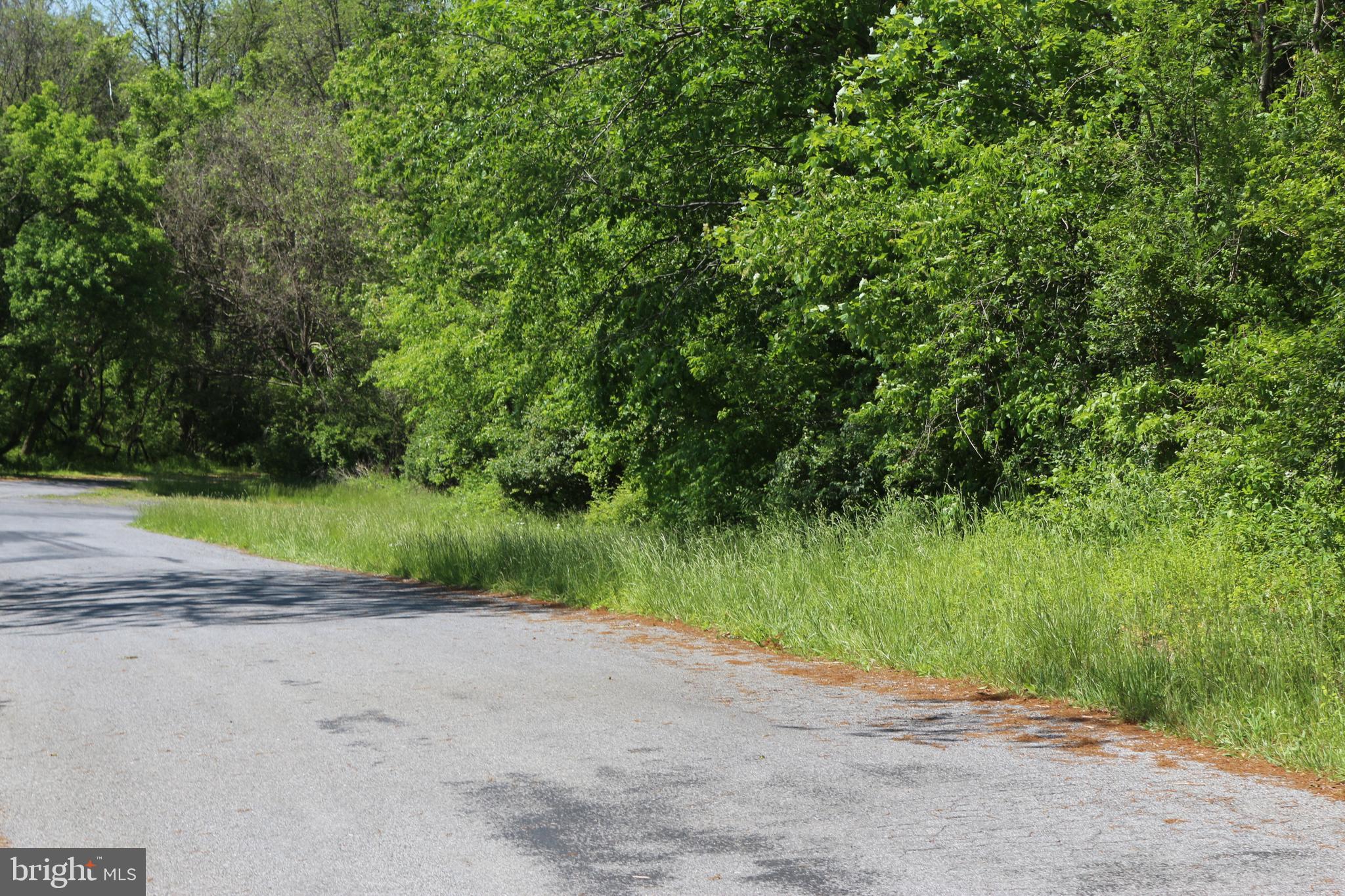 Road-tract 2 Licking Creek Road Big Pool, MD 21711 - Photo 1 of 10