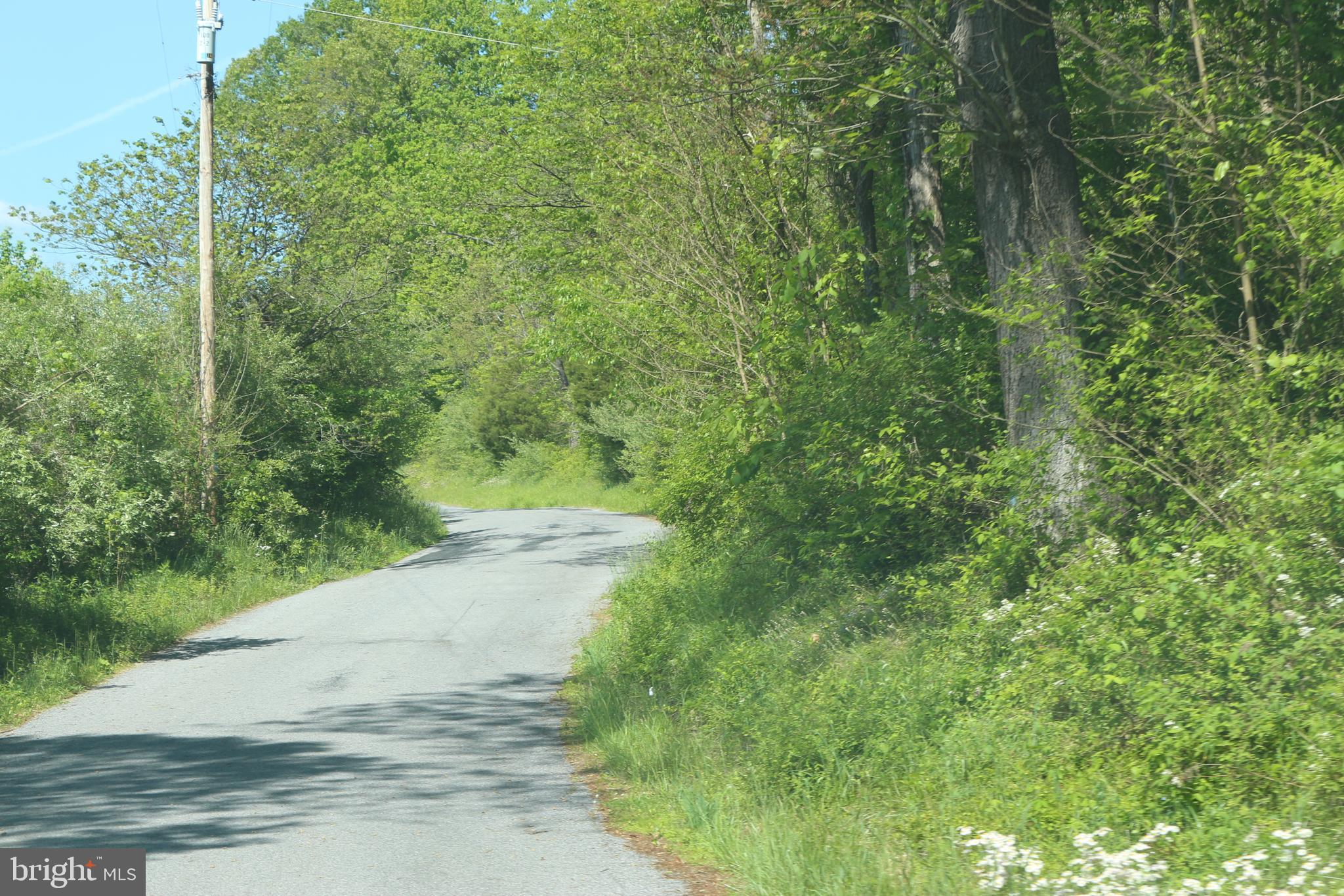 Road-tract 2 Licking Creek Road Big Pool, MD 21711 - Photo 2 of 10