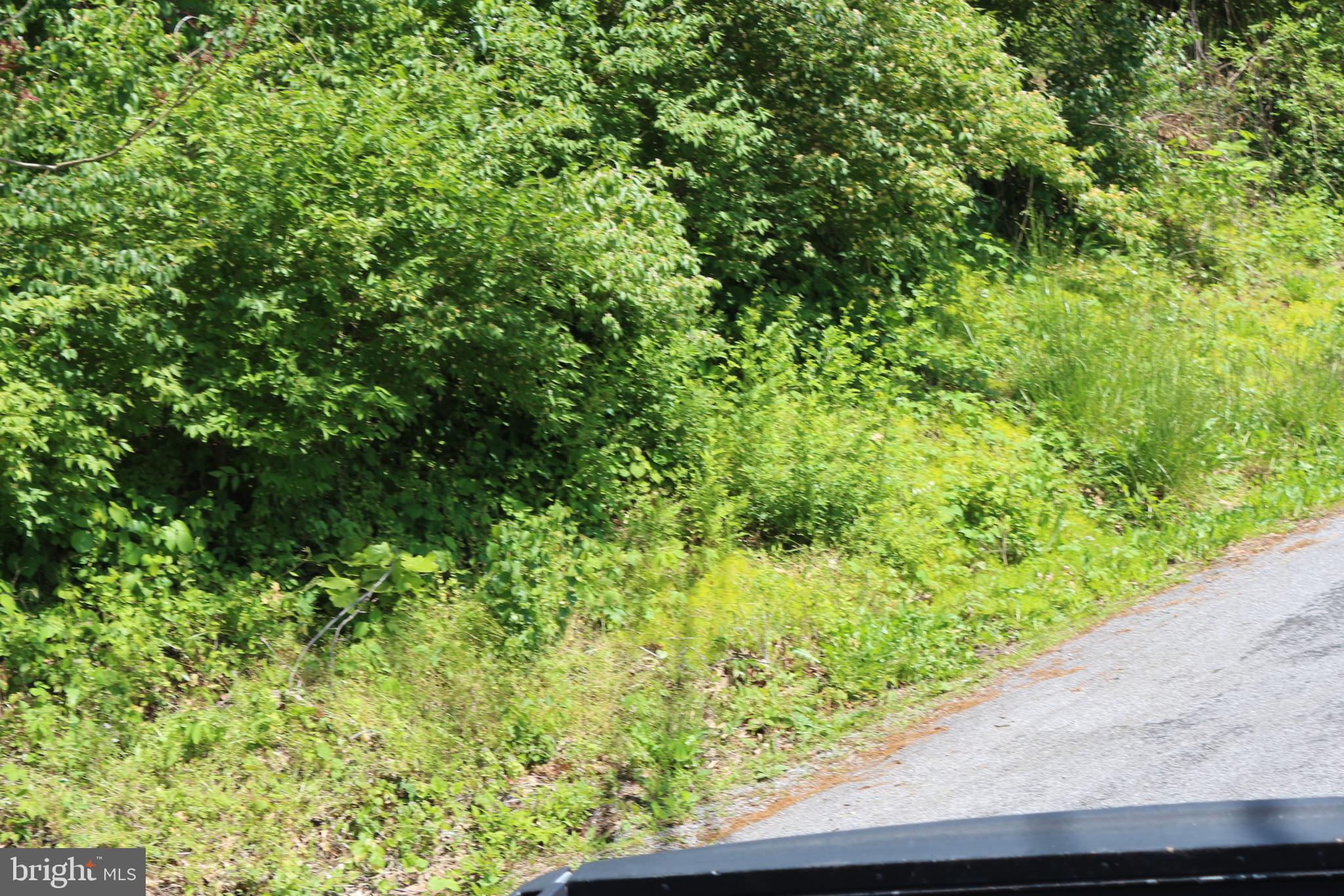 Road-tract 2 Licking Creek Road Big Pool, MD 21711 - Photo 5 of 10