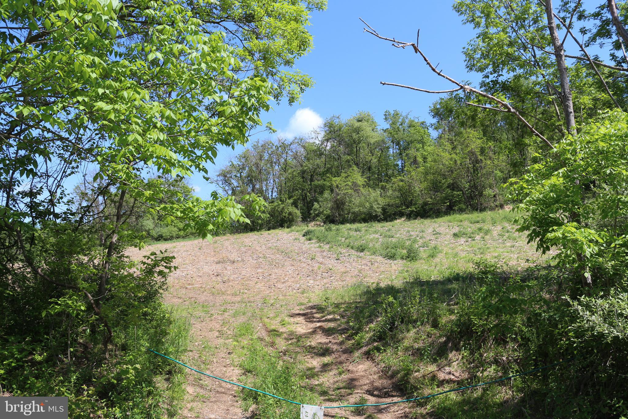 Road-tract 2 Licking Creek Road Big Pool, MD 21711 - Photo 10 of 10 Access to lots