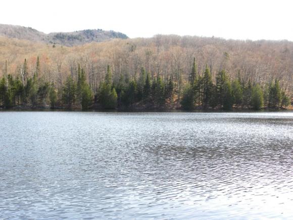 6340 Us Route Sutton, VT 05867 - Photo 17 of 30 Gallery Image 17