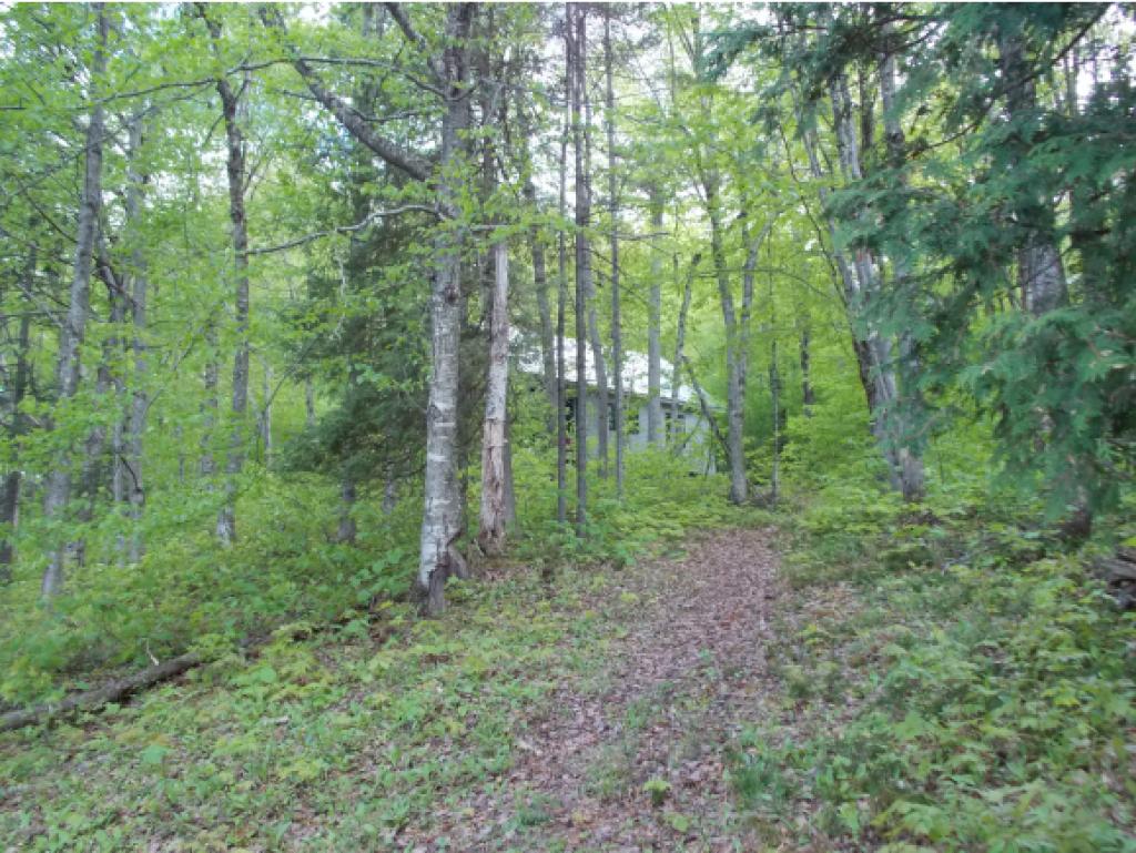 6340 Us Route Sutton, VT 05867 - Photo 20 of 30 Gallery Image 20