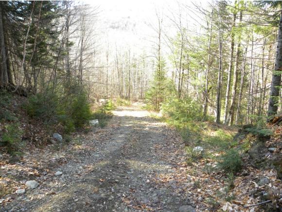 6340 Us Route Sutton, VT 05867 - Photo 22 of 30 Gallery Image 22