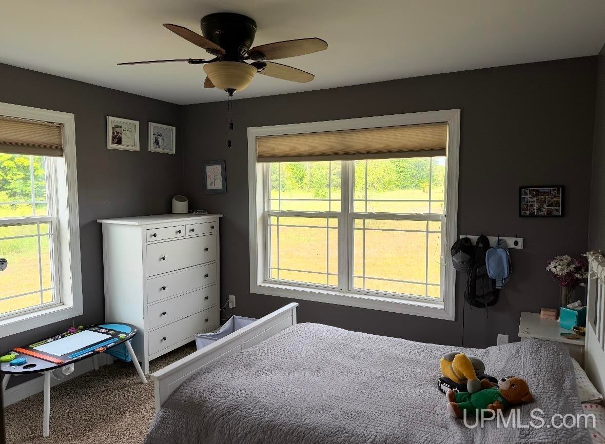 53185 Salo Road Hancock, MI 49930 - Photo 5 of 6 Gallery Image 5