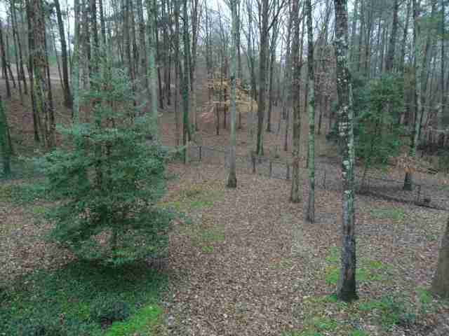530 Lakeside Drive Anderson, SC 29621 - Photo 20 of 25 Gallery Image 20