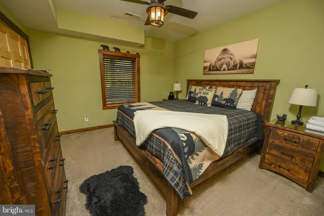 a view of a green yard with large trees