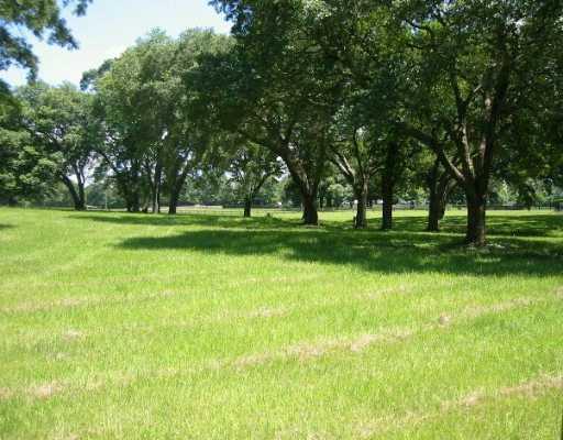 0 North Morgan Road Folsom, LA 70437 - Photo 1 of 7 Gallery Image 1