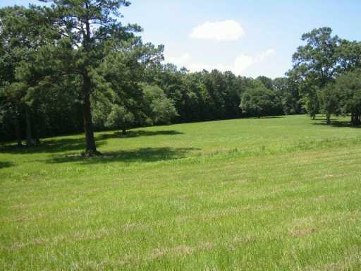 0 North Morgan Road Folsom, LA 70437 - Photo 2 of 7 Gallery Image 2