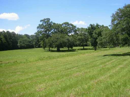 0 North Morgan Road Folsom, LA 70437 - Photo 3 of 7 Gallery Image 3