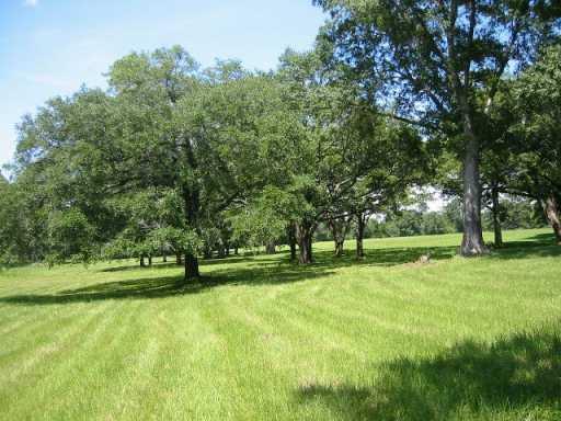 0 North Morgan Road Folsom, LA 70437 - Photo 4 of 7 Gallery Image 4