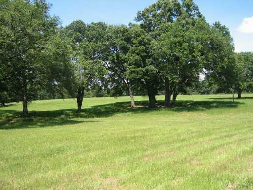 0 North Morgan Road Folsom, LA 70437 - Photo 5 of 7 Gallery Image 5