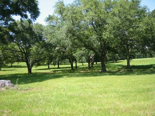 0 North Morgan Road Folsom, LA 70437 - Photo 6 of 7 Gallery Image 6
