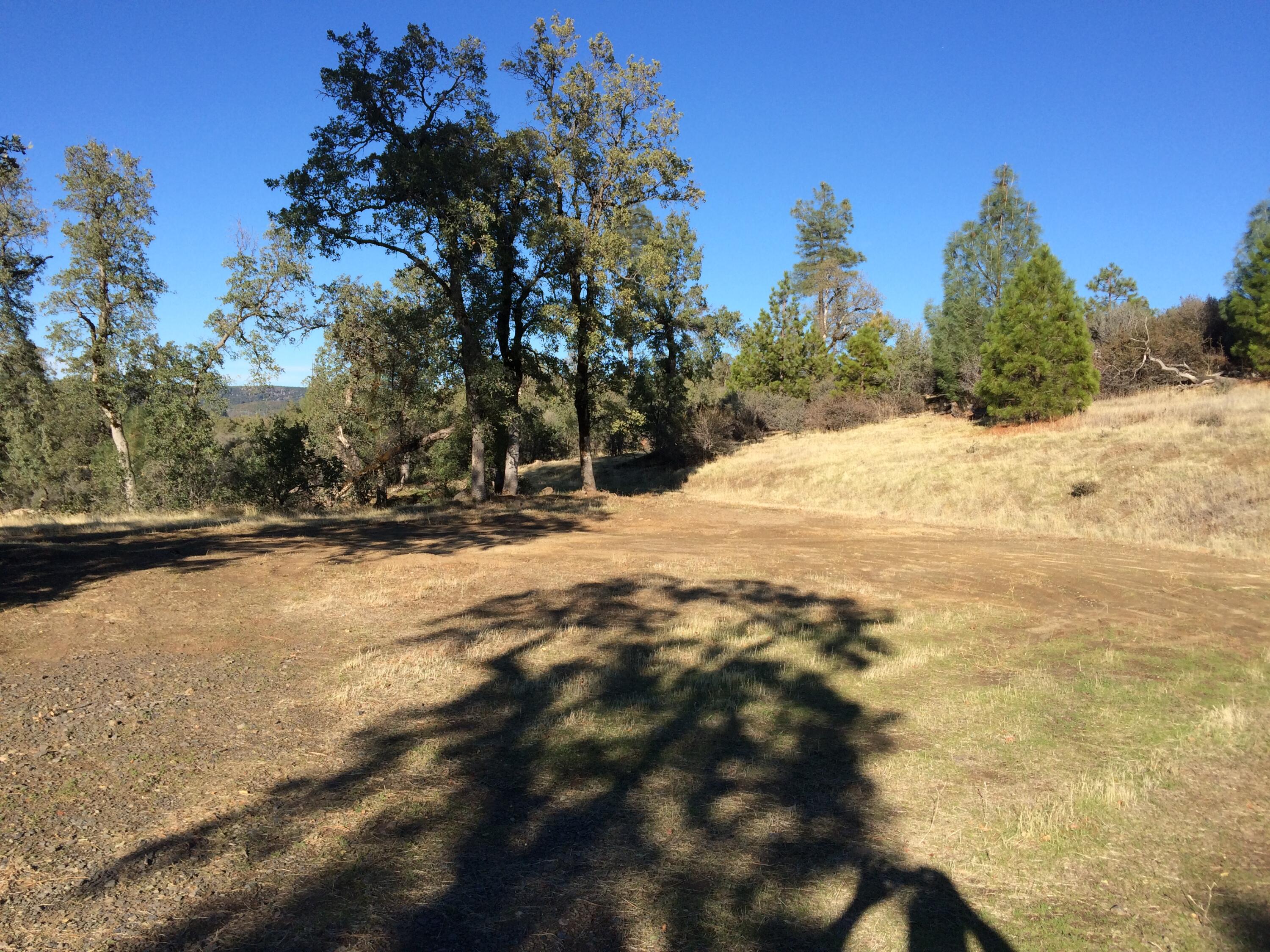 17759 Patterson Ranch Road Round Mountain, CA 96084 - Photo 11 of 24 a view of a yard with snow on the road