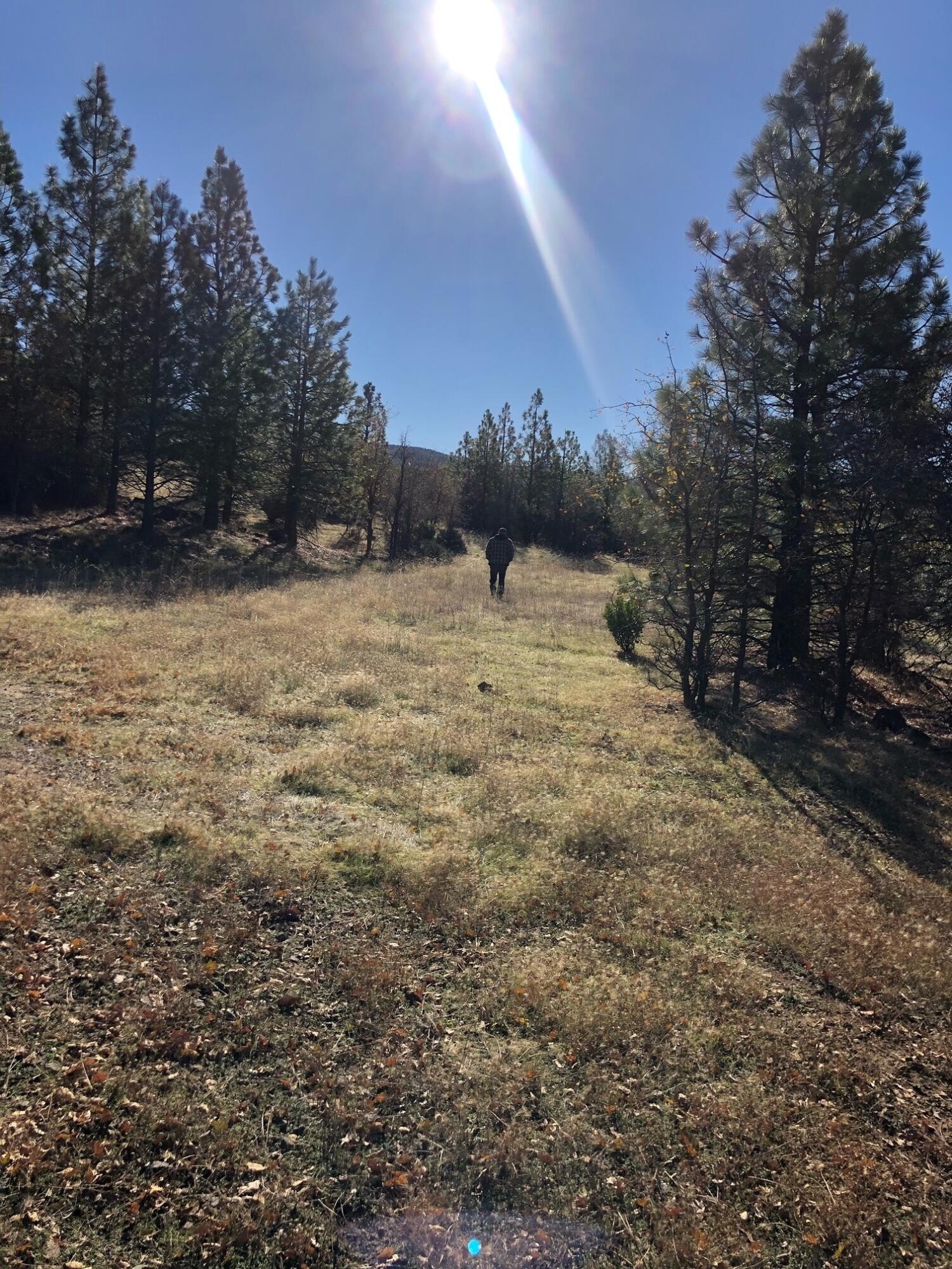17759 Patterson Ranch Road Round Mountain, CA 96084 - Photo 21 of 24 a view of empty room with green space
