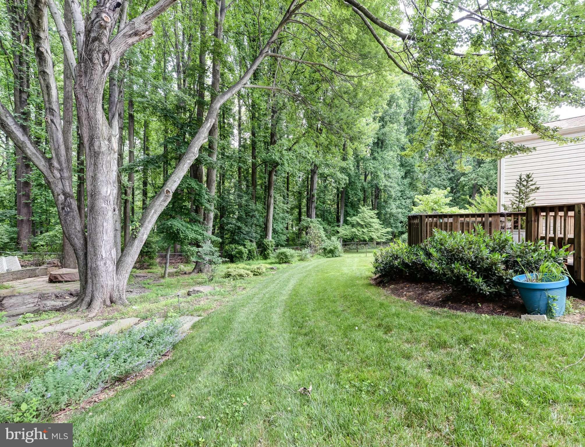 15517 Wembrough Street Silver Spring, MD 20905 - Photo 23 of 23 Exterior (Rear)