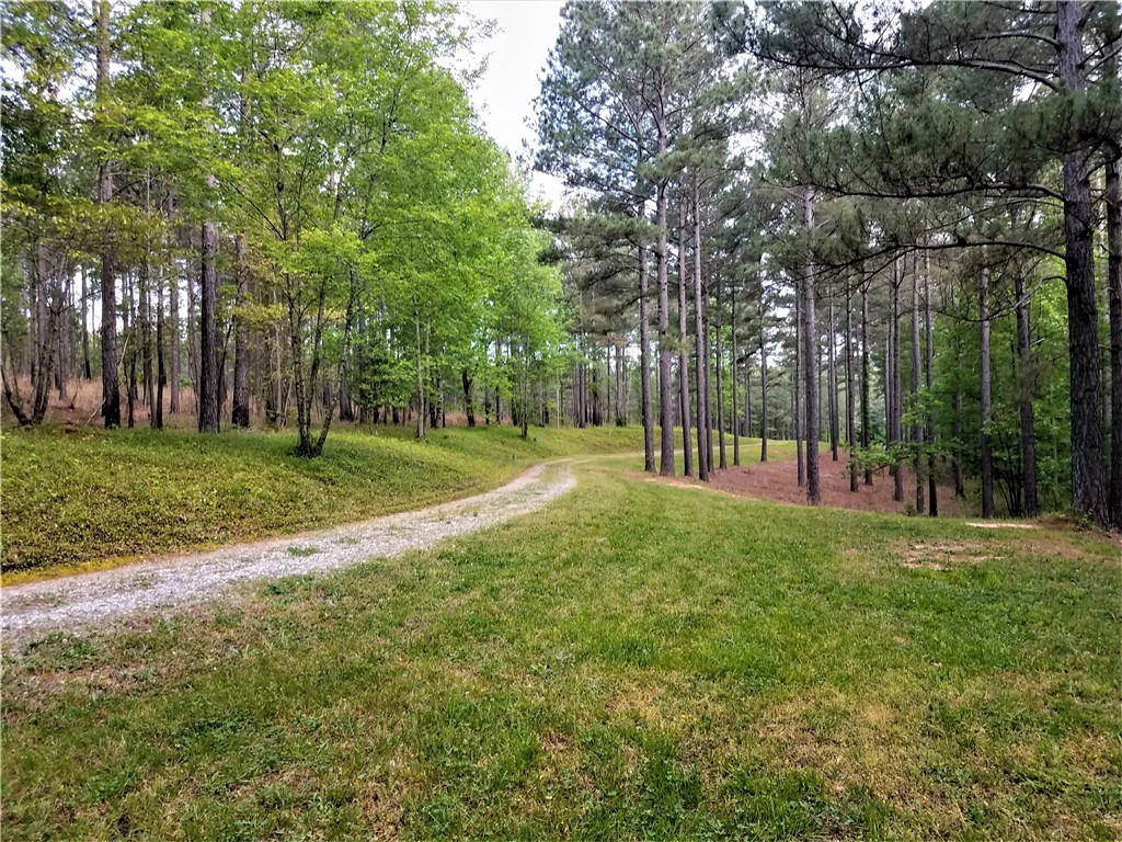 100 Mill Pine Road Central, SC 29630 - Photo 3 of 14