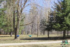 5060 Burns Line Road Croswell, MI 48422 - Photo 2 of 2 351666-1.JPG