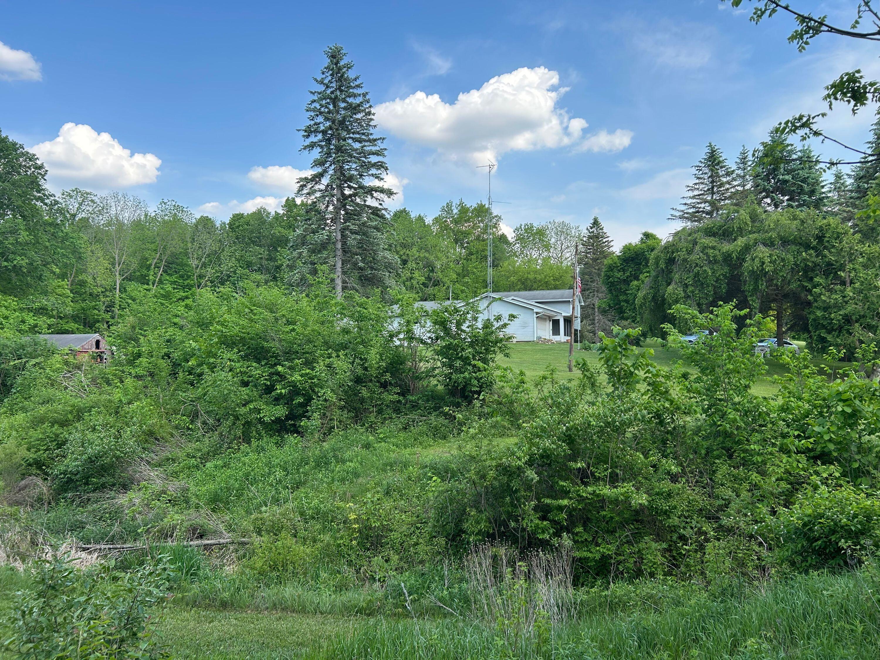 15300 Rome Road Manitou Beach, MI 49253 - Photo 27 of 59 IMG_2973