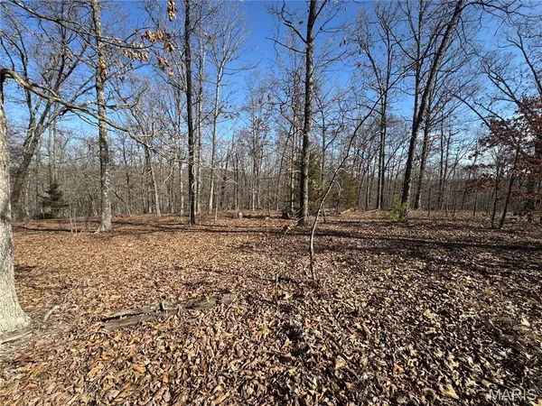 $52,000 | Lot Ee&ee(s) Lot Ee&ee(s) Hidden Valley Lakes, Annapolis, MO 63620