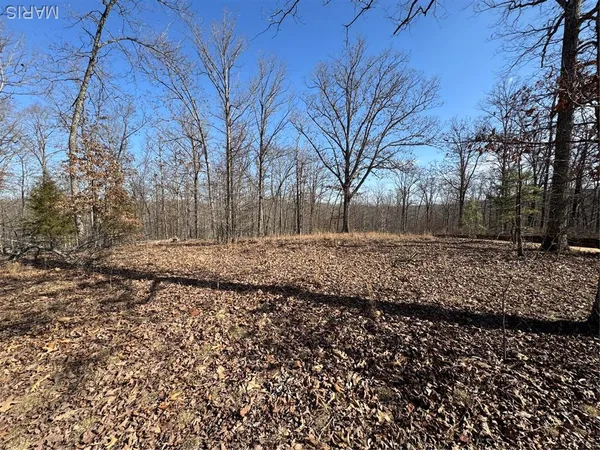 $52,000 | Lot Ee&ee(s) Lot Ee&ee(s) Hidden Valley Lakes, Annapolis, MO 63620